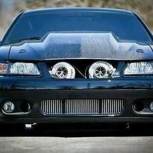 Meet your Posher, Estarlin